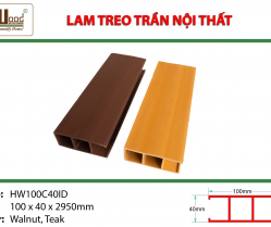 lam-treo-tran-hw100c40id