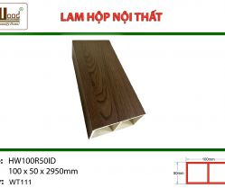 lam-hop-noi-that-hw100r50id-wt111