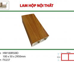 lam-hop-noi-that-hw100r50id-fx237