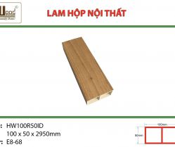lam-hop-noi-that-hw100r50id-e868
