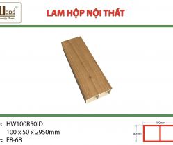 lam-hop-noi-that-hw100r50id-e868